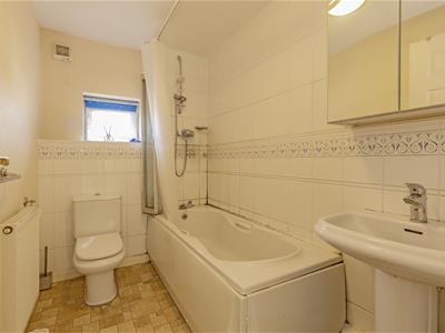 Picture 11